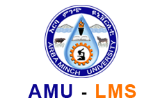 Arba Minch University LMS