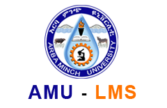 Arba Minch University LMS Portal